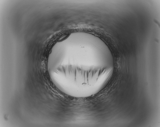 X0000099951493200806131436