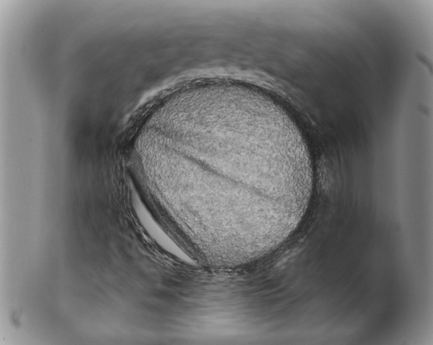 X0000099951494200806131436