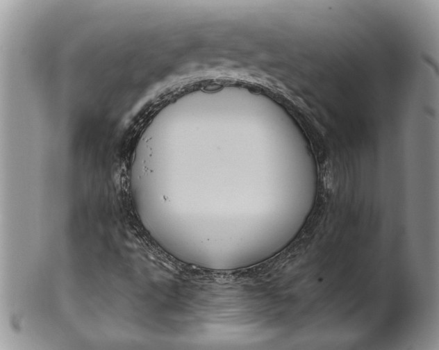 X0000099951495200806131436