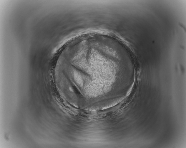 X0000099951496200806131436