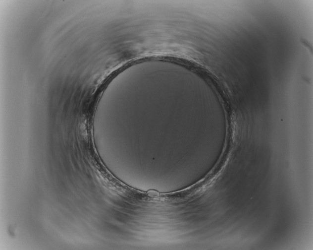 X0000099951497200806131436