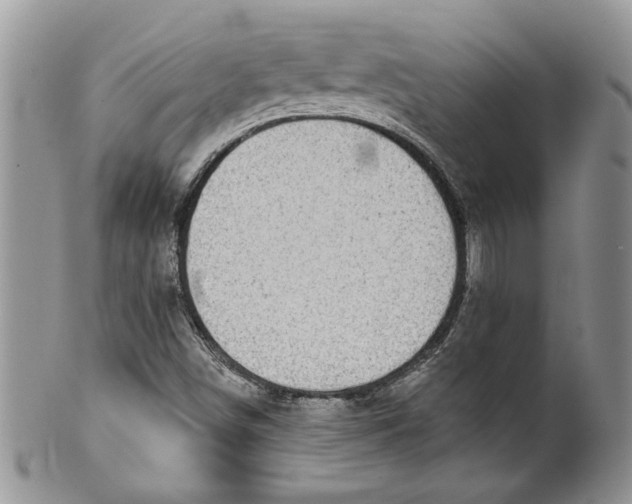 X0000099951498200806131436