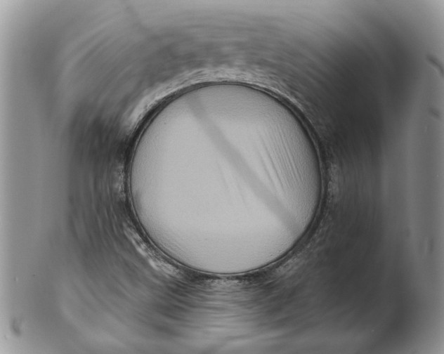 X0000099951499200806131436