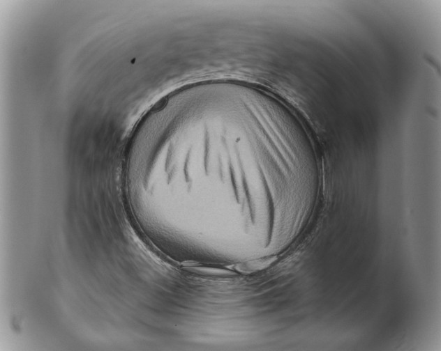 X0000099951500200806131436