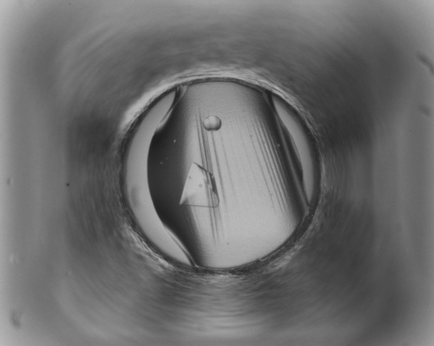 X0000099951502200806131436