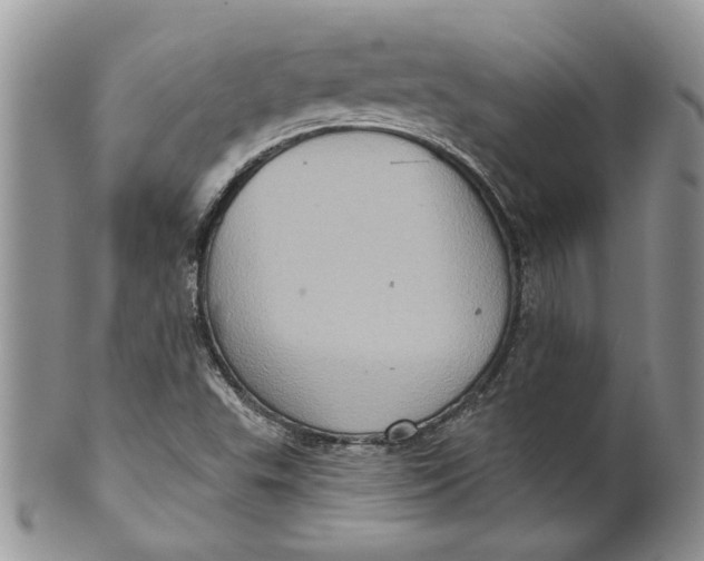 X0000099951503200806131436