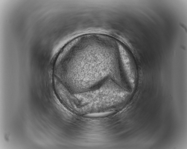 X0000099951504200806131436