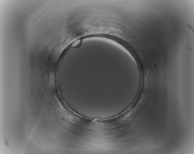 X0000099951505200806131436