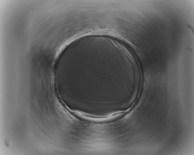 X0000099951506200806131436