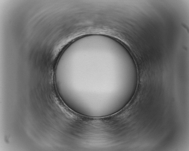 X0000099951507200806131436