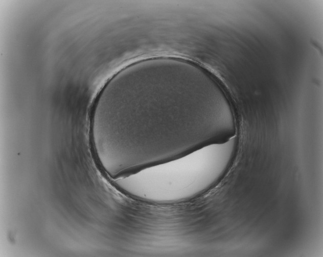 X0000099951508200806131436