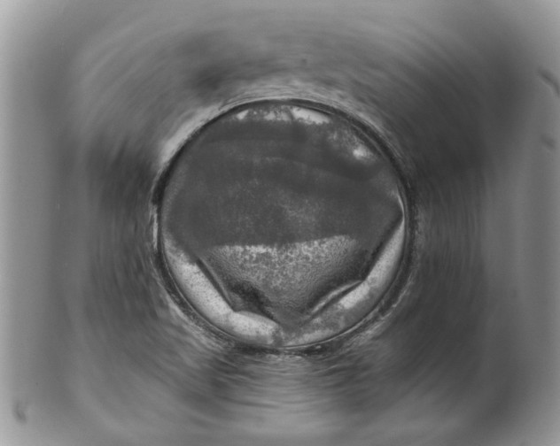 X0000099951509200806131436