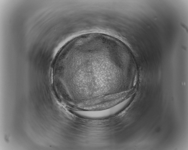 X0000099951510200806131436