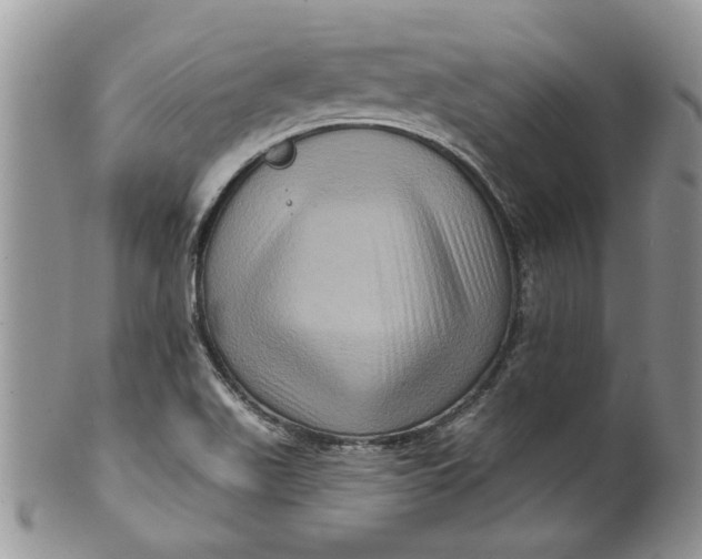 X0000099951511200806131436