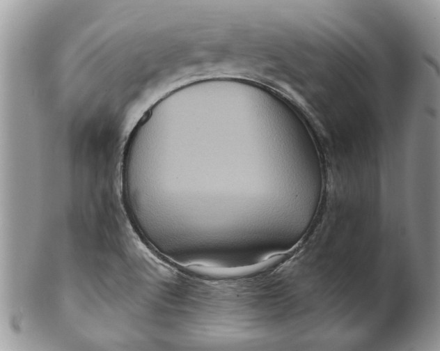 X0000099951512200806131436