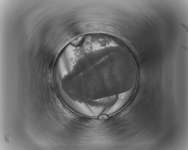 X0000099951513200806131436