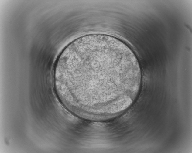 X0000099951514200806131436