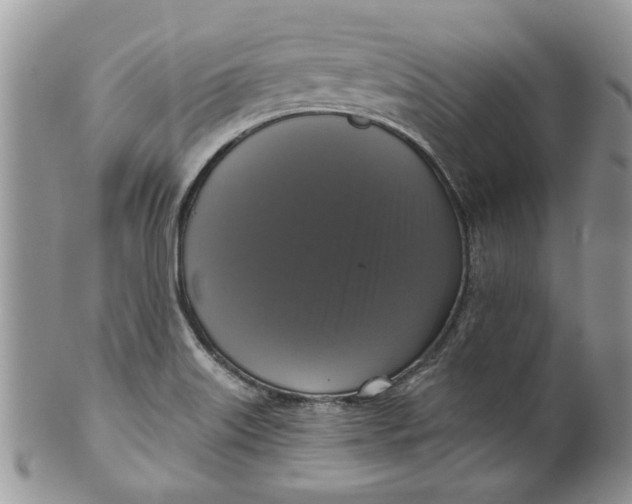 X0000099951515200806131436