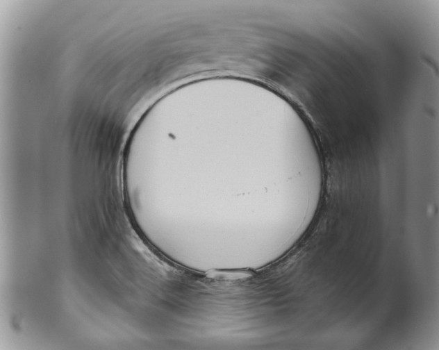 X0000099951516200806131436