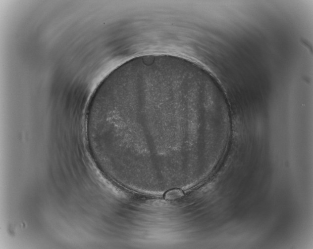 X0000099951517200806131436