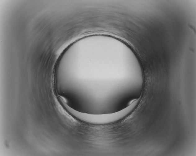 X0000099951518200806131436