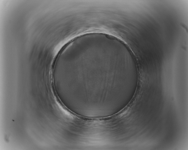 X0000099951519200806131436