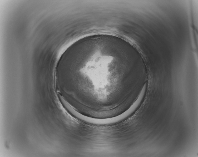 X0000099951520200806131436