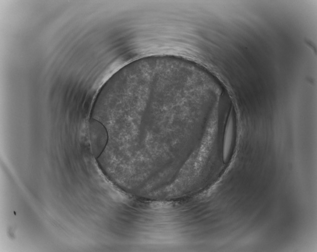 X0000099951521200806131436