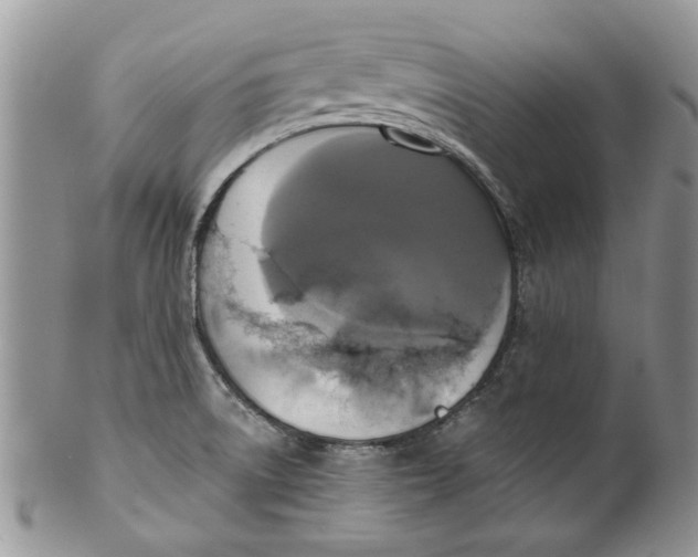 X0000099951522200806131436