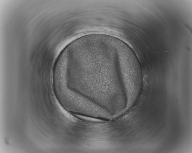 X0000099951523200806131436