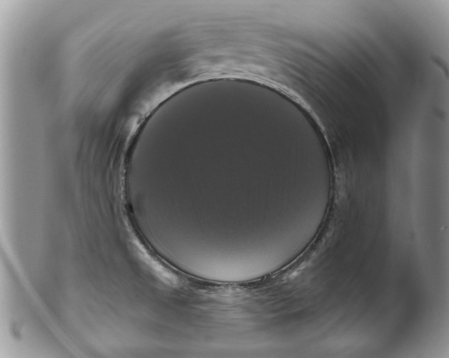 X0000099951525200806131436