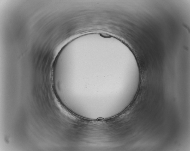 X0000099951526200806131436