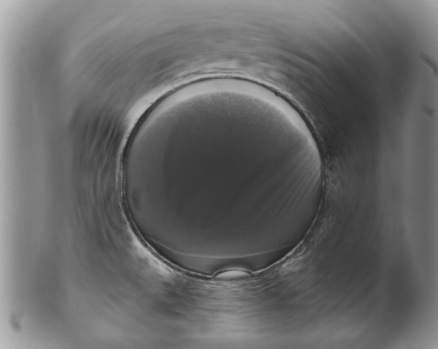 X0000099951527200806131436