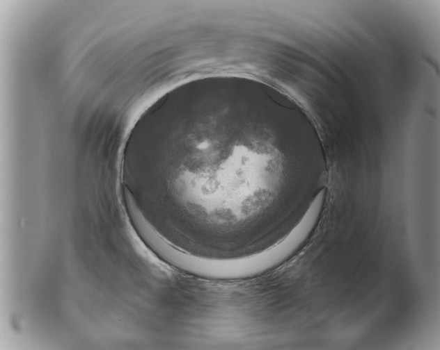 X0000099951528200806131436