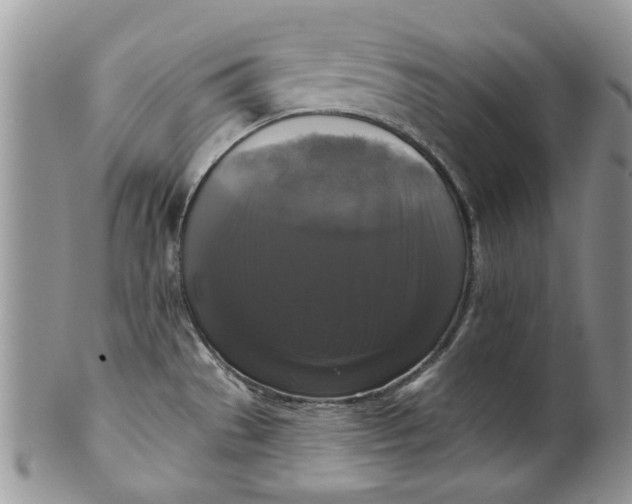 X0000099951529200806131436