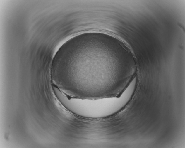 X0000099951530200806131436