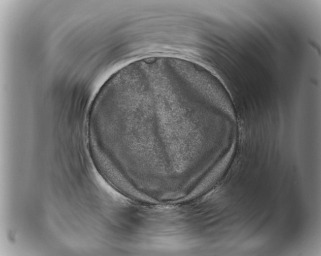 X0000099951531200806131436