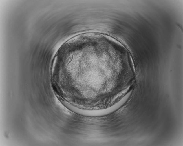 X0000099951532200806131436