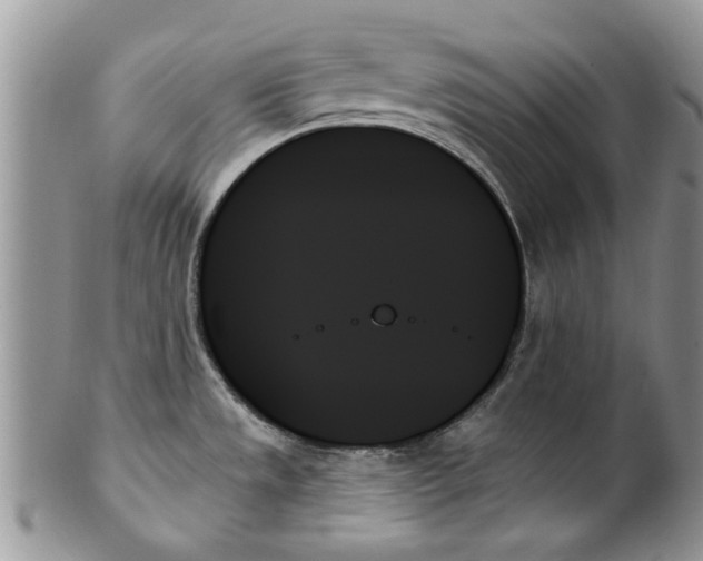 X0000099951533200806131436