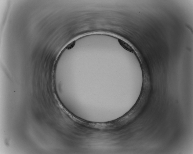 X0000099951534200806131436