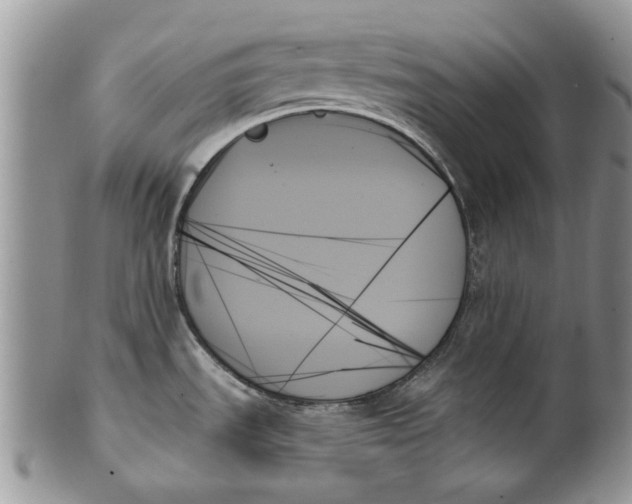 X0000099951535200806131436