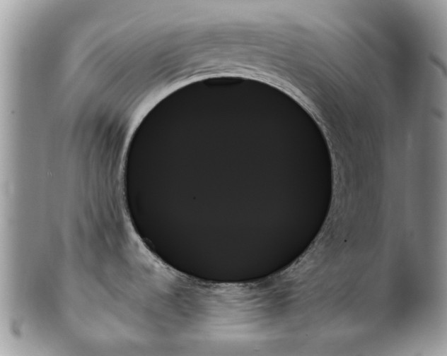 X0000099951536200806131436