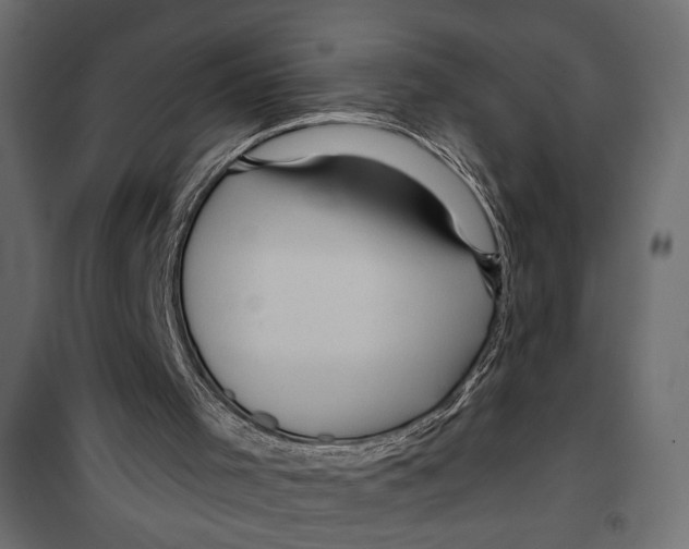X0000099950001200806201324