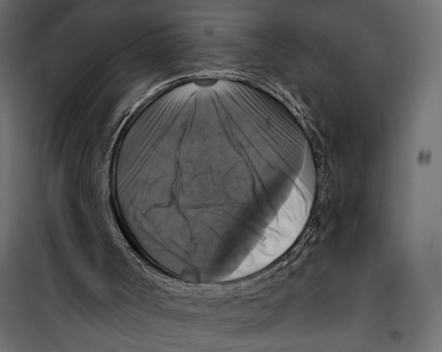 X0000099950002200806201324