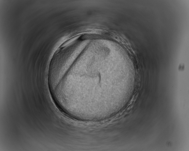 X0000099950003200806201324