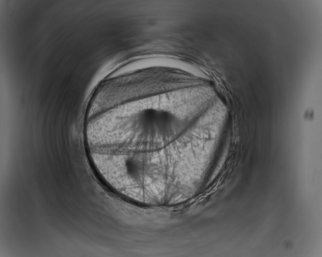 X0000099950004200806201324
