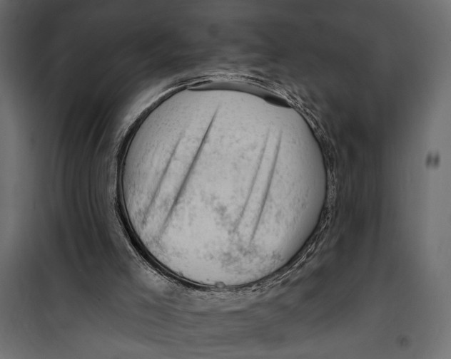 X0000099950005200806201324