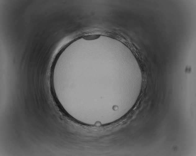 X0000099950006200806201324