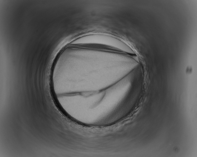 X0000099950007200806201324