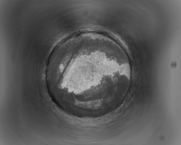 X0000099950010200806201324